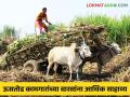 Agriculture News : मयत ऊसतोड कामगारांच्या वारसांना आर्थिक साहाय्य, तीन जिल्ह्यातील प्रस्ताव मंजूर  - Marathi News | Latest News Agriculture News Fund of five lakh rupees sanctioned to heirs of sugarcane workers in three districts | Latest agriculture News at Lokmat.com