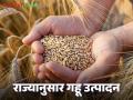 Wheat Production : गहू उत्पादनात 'या' राज्यांनी मारली बाजी, पहा राज्यनिहाय संपूर्ण यादी  - Marathi News | Latest News Wheat Production Uttar Pradesh leads in wheat production, see complete state-wise list | Latest agriculture News at Lokmat.com