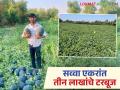 पिकाचे योग्य नियोजन आणि आधुनिक तंत्रज्ञानाचा प्रभावी वापर करत हिवरखेडच्या प्रशांतरावांनी घेतले टरबूजचे विक्रमी उत्पादन - Marathi News | Prashantrao of Hiwarkhed achieved a record watermelon production through proper crop planning and effective use of modern technology | Latest agriculture News at Lokmat.com