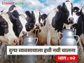 दुर्लक्षित धोरणांमुळे बुलढाणा जिल्हा दूध उत्पादनाच्या स्पर्धेत मागे; पशुधन असूनही दुग्धसंस्था कोलमडल्या! - Marathi News | Buldhana district lags behind in the competition of milk production due to neglected policies; Dairy farms collapse despite having livestock! | Latest agriculture News at Lokmat.com