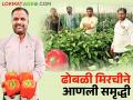 पॉलीहाऊसमधील ढोबळी मिरचीने वागदरे बंधूंच्या शेतीला आली रंगत - Marathi News | The coarse chillies from the polyhouse brought color to the Vagdare brothers' farm | Latest agriculture News at Lokmat.com