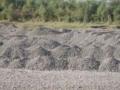 जामनेरला वाळूमाफियाने अडविले तहसीलदारांचे वाहन - Marathi News | Jamnar was stopped by the sand mafia, the tahsildar's vehicle | Latest jalgaon News at Lokmat.com
