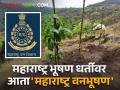 वन क्षेत्रामध्ये उल्लेखनीय कार्य करणाऱ्यास 'महाराष्ट्र वनभूषण' पुरस्कार; कसे आहे पुरस्काराचे स्वरूप - Marathi News | Awarding 'Maharashtra Vanbhushan' to individuals who have achieved remarkable achievements in the field of forest, wildlife conservation; How is the nature of the award? | Latest agriculture News at Lokmat.com