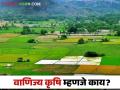 Commercial Agriculture : वाणिज्य शेती म्हणजे काय माहितीय का? जाणून घ्या सविस्तर - Marathi News | Latest News vanijya Krishi What is Commercial Farming Know in detail  | Latest agriculture News at Lokmat.com
