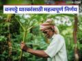 Agriculture News : 'या' जिल्ह्यातील वनपट्टे धारकांना स्वतंत्र सातबारा मिळणार, राज्यपालांचे निर्देश  - Marathi News | latest News Forest land holders in nashik district will get separate Satbara, Governor's instructions | Latest agriculture News at Lokmat.com
