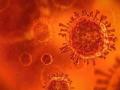 CoronaVirus News: ...तर कोरोना लस, अँटिबॉडीजचा उपयोग शून्य; महाराष्ट्रासाठी धोक्याची घंटा - Marathi News | B 1 525 Found In Telangana All You Need To Know About This Sars-Cov-2 Variant First Detected In nigeria | Latest national News at Lokmat.com