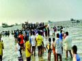 अर्नाळ्यातील नौका बुडाली, वेळ आणि इंधन वाचवण्यासाठी मोठी जहाजे मासेमारीच्या मार्गात - Marathi News | In order to save the boat boats, time and fuel in Orlando, the big ships fly fishing | Latest vasai-virar News at Lokmat.com