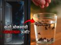 Vastu Tips: घरात सतत कटकटी? एका ग्लास पाण्यात लवंग टाकून पाहा; कळेल धक्कादायक सत्य! - Marathi News | Vastu Tips: Constant quarrels at home? Try putting cloves in a glass of water; you will know the shocking truth! | Latest bhakti News at Lokmat.com