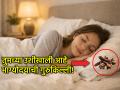 Vastu Tips: झोपताना उशीखाली ठेवा 'या' घरगुती वस्तू; नशीब पालटायला वेळ लागणार नाही! - Marathi News | | Latest bhakti News at Lokmat.com