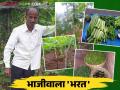 Farmer Success Story : भरत व भक्ती यांचा बारमाही भाजीपाला शेतीचा यशस्वी पॅटर्न वाचा सविस्तर - Marathi News | Farmer Success Story : Successful pattern of perennial vegetable farming by farmers Bharat and Bhakti | Latest agriculture News at Lokmat.com