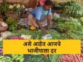 मेथी, कोथिंबिरीच्या जुडीला काय भाव मिळाला, जाणून घ्या भाजीपाल्याचे दर  - Marathi News | Latest News Methi and Coriander are priced at Rs 8 to 10 in market yard, know the vegetable market | Latest agriculture News at Lokmat.com