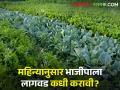 शेतकऱ्यांसाठी महत्वाचं! कोणत्या भाजीपाल्याची लागवड कधी करावी? वाचा सविस्तर  - Marathi News | Latest News Which vegetables should be planted according to the month see details | Latest agriculture News at Lokmat.com