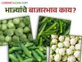 Vegetable Market Update : भाजीपाल्याची आवक घटली  - Marathi News | Vegetable Market Update: The arrival of vegetables decreased  | Latest agriculture News at Lokmat.com