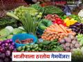 Vegetable Market : धान्यापेक्षा भाजीपाल्यात 'धन'; शेतकऱ्यांचा बदलता कल वाचा सविस्तर - Marathi News | latest news Vegetable Market: 'Money' in vegetables rather than grains; Read the changing trend of farmers in detail | Latest agriculture News at Lokmat.com