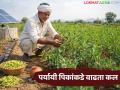 Agriculture News : कमी खर्चात, कमी पाण्यात येणाऱ्या पिकांकडे वाढता कल, भगरीचे पीक फायदेशीर - Marathi News | Latest news Growing trend towards low-cost, low-water crops, bhagri crop profitable | Latest agriculture News at Lokmat.com