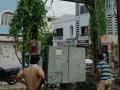 अकोला जिल्ह्यातील रोहीत्रे आणि विद्युत खांब झाले वेलीमुक्त - Marathi News | Bushes removed around Transformer and power poles in Akola district | Latest akola News at Lokmat.com
