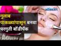 गुलाबाच्या पाकळ्यांपासून घरगुती बॉडीपॅक कसा बनवाल? How to make a homemade bodypack from rose petals? - Marathi News | How to make a homemade bodypack from rose petals? How to make a homemade bodypack from rose petals? | Latest oxygen Videos at Lokmat.com