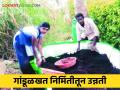 Vermicompost गांडूळखत निर्मिती जोडव्यवसायातून किमान ३० हजार रुपयांचा नफा - Marathi News | Vermicompost: Profit of at least 30 thousand rupees from vermicomposting business | Latest agriculture News at Lokmat.com