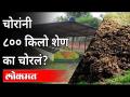 चोरांनी ८०० किलो शेण का चोरलं | Chhattisgarh 800 kg Cow Dung Stolen | India News - Marathi News | Why did thieves steal 800 kg of dung? Chhattisgarh 800 kg Cow Dung Stolen | India News | Latest national Videos at Lokmat.com