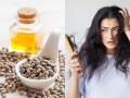 केसांसाठी चमचाभर एरंडेल तेल ठरते वरदान; केस गळती थांबते - कोंडाही होतो दूर - Marathi News | How to Use Castor Oil for Hair (Grow Beautiful Hair Fast) | Latest sakhi News at Lokmat.com