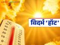 Vidarbha Heat Wave : मार्चमध्येच ४०° पार; विदर्भात उष्णतेचा जोर, वाशिम 'हॉट' जिल्ह्यांत - Marathi News | latest news Vidarbha Heat Wave: 40°C crossed in March itself; Heat wave in Vidarbha, Washim in 'hot' districts | Latest agriculture News at Lokmat.com