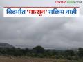 Vidarbha Monsoon Update: शेतकऱ्यांनो, आता पेरणी म्हणजे उलटणीची शक्यता! जाणून घ्या काय आहे कारण - Marathi News | latest news Vidarbha Monsoon Update: Farmers, sowing now means a possibility of reversal! Know what is the reason | Latest agriculture News at Lokmat.com