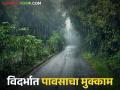 Vidarbha Weather Update : विदर्भात मान्सून पुन्हा सक्रिय; पुढील दोन दिवस मुसळधार पावसाचा इशारा - Marathi News | latest news Vidarbha Weather Update: Monsoon active again in Vidarbha; Warning of heavy rains for the next two days | Latest agriculture News at Lokmat.com