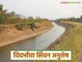 विदर्भाचा सिंचन अनुशेष नेमका आहे तरी किती? थेट सरकारला प्रश्न, विधानसभेत काय घडलं?  - Marathi News | latest News How much is Vidarbha's irrigation backlog question to maharashtra government in vidhansabha | Latest agriculture News at Lokmat.com