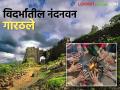 Vidarbha Weather Update : विदर्भाचे नंदनवन @ ९ अंश सेल्सिअस ; वाचा सविस्तर - Marathi News | Vidarbha Weather Update : Paradise of Vidarbha @ 9 degrees Celsius; Read in detail | Latest agriculture News at Lokmat.com