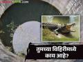 काय सांगताय : अबब ! विहिरीमध्ये भली मोठी मगर; ही काय भानगड वाचा सविस्तर  - Marathi News | What are you saying: Abba! A large crocodile in a well; Read this in detail  | Latest agriculture News at Lokmat.com