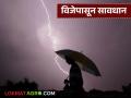विजेपासून बचावासाठी झाडाचा आश्रय घेणे चूक कि बरोबर; जाणून घ्या सविस्तर - Marathi News | Is it right or wrong to take shelter under a tree to protect yourself from lightning? Find out in detail | Latest agriculture News at Lokmat.com