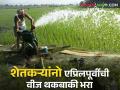 शेतकऱ्यांना मागील वीज थकबाकी भरा ; पाच वर्ष मोफत वीज मिळवा - Marathi News | farmers Pay past electricity dues ; Get free electricity for five years | Latest agriculture News at Lokmat.com
