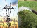 कृषी पंपाच्या वीजदरात १२ टक्के वाढ, एप्रिलपासून दर लागू  - Marathi News | 12 percent hike in agriculture pump electricity rates, applicable from April | Latest sangli News at Lokmat.com