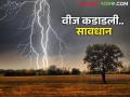 शेतकऱ्यांनो परतीचा पाऊस सुरु झालाय वीज पडण्याची भीती कशी घ्याल काळजी - Marathi News | Farmers, the rains have started again, how can you take care of the fear of lightning | Latest agriculture News at Lokmat.com