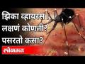 झिका व्हायरसची लक्षणं कोणती? उपचार काय? Zika virus Symptoms and Treatment । India - Marathi News | What are the symptoms of Zika virus? What is the treatment? Zika virus Symptoms and Treatment. India | Latest national Videos at Lokmat.com