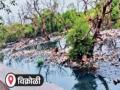 वनविभागाच्या हद्दीतील नाल्यांना कुणीही वाली नाही! - Marathi News | No one is paying attention to the drains within the forest department limits | Latest mumbai News at Lokmat.com