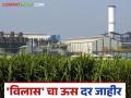 Sugar Factory : 'विलास' युनिट - १ चा किमान अंतिम ऊस दर जाहीर; शेतकऱ्यांच्या बँकेत पहिला हप्ता जमा - Marathi News | Sugar Factory: Minimum final sugarcane price of 'Vilas' Unit - 1 announced; First installment deposited in farmers' bank | Latest agriculture News at Lokmat.com