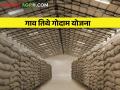 तुमचा शेत माल आता धान्य गोदामात साठवा, अशी आहे गाव तिथे गोदाम योजना - Marathi News | Latest News Now village godown plan to store grain of farmers | Latest agriculture News at Lokmat.com
