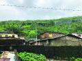 भूस्खलनाचा धोका जाणवल्यास जिल्ह्यातील गावांचे स्थलांतर - Marathi News | Migrating villages in the district after experiencing the threat of landslides | Latest raigad News at Lokmat.com