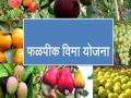 रत्नागिरी जिल्ह्यात ३४ हजार शेतकऱ्यांचा फळपीक विमा योजनेत सहभाग - Marathi News | 34 thousand farmers in Ratnagiri district have participated in the fruit crop insurance scheme | Latest ratnagiri News at Lokmat.com