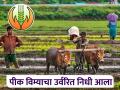 Pik Vima Yojana : उर्वरित पीक विम्याचा हफ्ता वितरणासाठी शासनाचा जीआर आला, वाचा सविस्तर  - Marathi News | Latest News Pik Vima Yojana Government's GR has arrived for distribution of remaining crop insurance installments, read in detail | Latest agriculture News at Lokmat.com