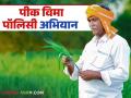 Pik Vima Yojana : शेतकऱ्यांना मिळणार पॉलिसी, काय आहे पीक विमा पॉलिसी अभियान? वाचा सविस्तर  - Marathi News | Latest News Pik Vima Yojana Farmers will get policy by Crop Insurance Policy Campaign Read in detail | Latest agriculture News at Lokmat.com
