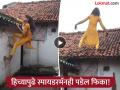 Viral Video : अरे बापरे हे काय बघितलं! महिलेने कॅमेरा सुरू केला अन् पुढे जे काही घडलं... ; व्हिडीओ बघून तुम्हीही हैराण व्हाल! - Marathi News | Viral Video: Oh my god, what did you see! The woman turned on the camera and what happened next...; You will be shocked after watching the video! | Latest social-viral News at Lokmat.com