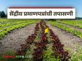 तुम्हीही विषमुक्ती शेती करत आहात, सेंद्रिय सर्टिफिकेटबद्दल शासनाचा महत्वाचा निर्णय  - Marathi News | Latest news oragnic farming Organic certificates given to farmers in maharashtra will be inspected | Latest agriculture News at Lokmat.com