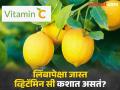 'या' ६ गोष्टींमध्ये असतं लिंबापेक्षाही जास्त व्हिटॅमिन सी, आयुर्वेद डॉक्टरांनी सांगितली नावं! - Marathi News | These 6 foods that have more vitamin c rather than lemon says doctor | Latest health News at Lokmat.com