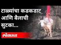 टाळ्यांचा कडकडाट आणि बैलाची सुटका | Bull Rescue From Feep Well | Solapur News - Marathi News | Applause and release of the bull | Bull Rescue From Feep Well | Solapur News | Latest maharashtra Videos at Lokmat.com