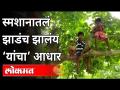 नेटवर्कसाठी विद्यार्थी घेतायंत स्मशानातल्या झाडांचा आधार | Network Tree | Online Classes | Gondia - Marathi News | The foundation of the trees in the cemetery while taking students for the network Network Tree | Online Classes | Gondia | Latest maharashtra Videos at Lokmat.com