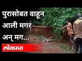 पुरासोबत वाहून आली मगर अन् मग | Crocodile Rescue in Sindhudurg | Flood in Sindhudurg | Maharashtra - Marathi News | Carried away with the flood, but then Crocodile Rescue in Sindhudurg | Flood in Sindhudurg | Maharashtra | Latest maharashtra Videos at Lokmat.com