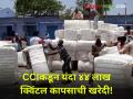 Cotton Procurement : राज्यात सीसीआयकडून या वर्षी ४४ लाख क्विंटल कापसाची खरेदी - Marathi News | Cotton Procurement CCI to procure 4.4 million quintals of cotton this year in the state | Latest agriculture News at Lokmat.com