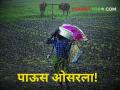 Maharashtra Rain Updates : मुसळधार पावसानंतर राज्यभरात पावसाचा जोर ओसरला! पुढील ५ दिवस कसे असणार? - Marathi News | Maharashtra monsoon Rain Updates After heavy rains, the intensity of rain has subsided across the state! How will the next 5 days be? | Latest agriculture News at Lokmat.com
